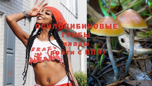 дмт Бугульма