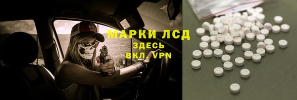 ешки Бородино