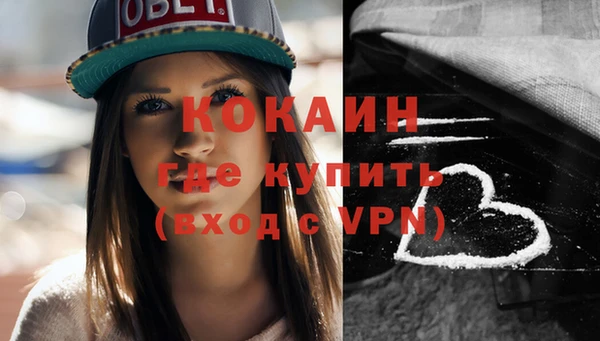 ешки Бородино