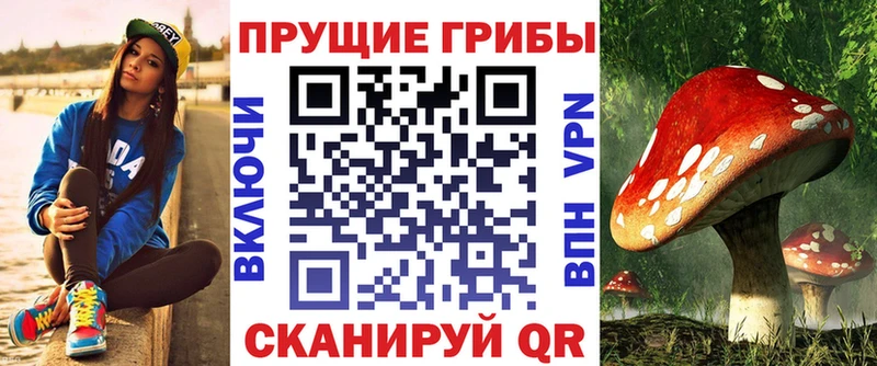 Галлюциногенные грибы мухоморы  ОМГ ОМГ вход  Знаменск 